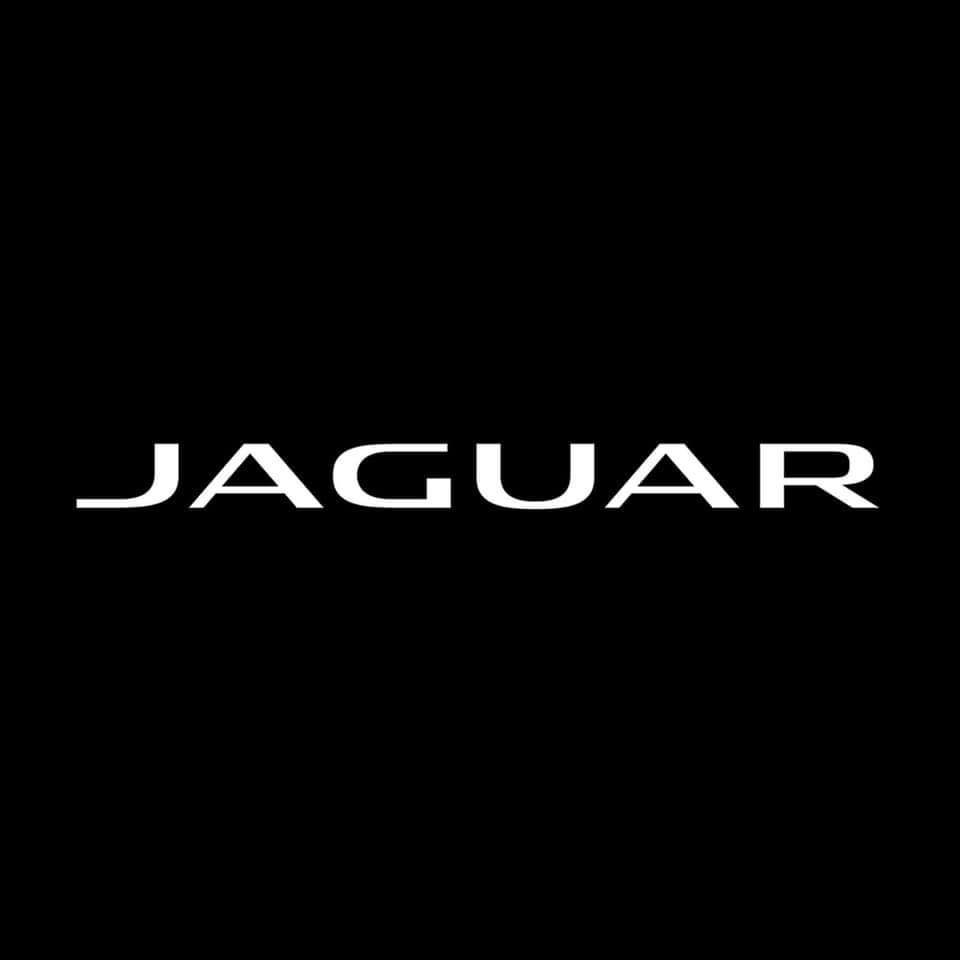 Jaguar Jordan