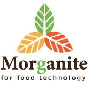 Morganaite Group