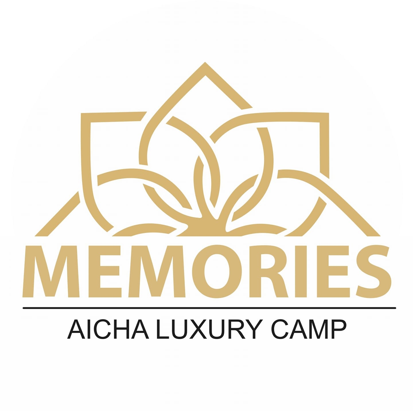 Memories Aicha Luxury Camp